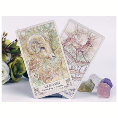 Large Size Tarot Cards 78 Tarot Cards With Booklet Fortune Telling Games