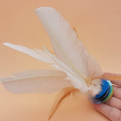 Feather Shuttlecock for Exercise and Competition