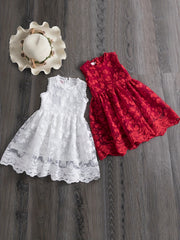 Lace Embroidered Tank Dress & Mesh Princess Dress