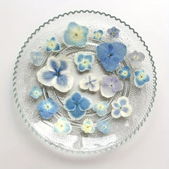 Hydrangea Dried Flower Resin Embossed DIY Kit