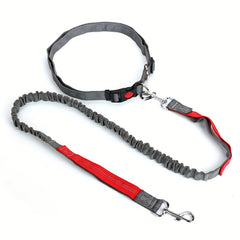 Elastic Pet Dog Leash for Outdoor Running and Walking