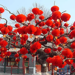 Hot Spring Lantern Red Lantern Decoration Year Paper Lantern Dress Up