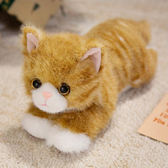 Realistic Cat Plush Toy for Kids, Boys & Girls