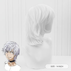Gray Short Straight Anime Wig