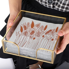 Glass Napkin Holder with Mirrored Bottom for Tabletop Decor