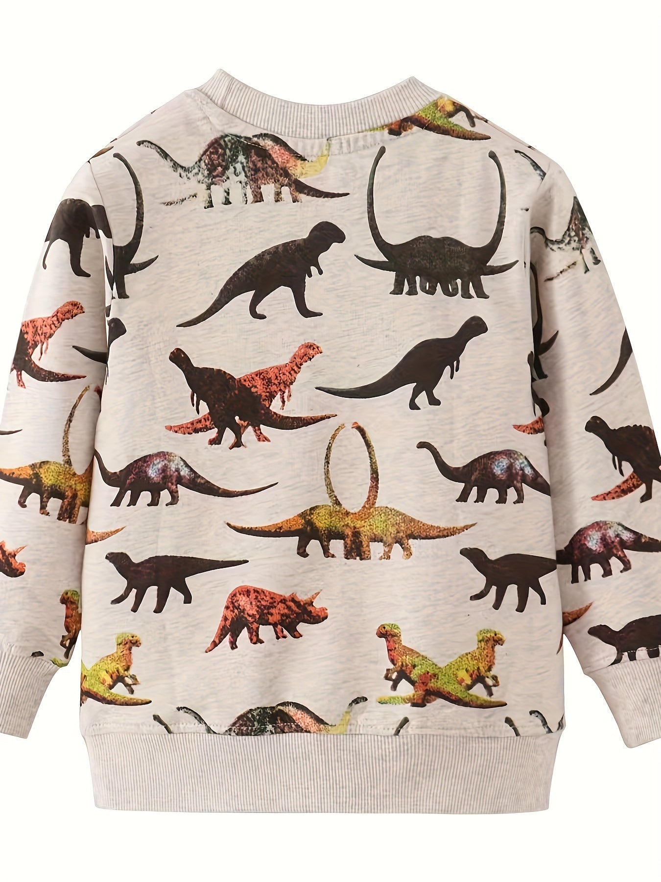 Boys Dino Print Sweatshirt Stretch Fabric