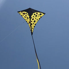 Colorful Kite With Long Tails Easy To Fly - Outdoor Entertainment