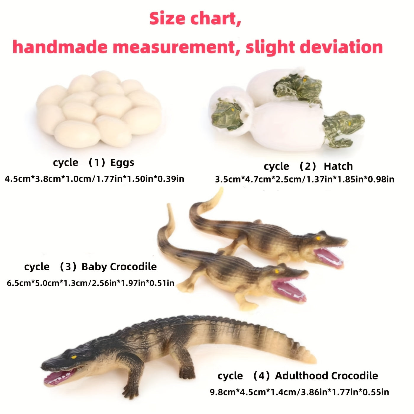 Insect Venomous Animals Growth Cycle Set