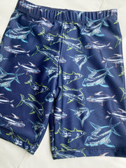Boys Shark Graphic T-shirt & Trunks Set Swimsuit