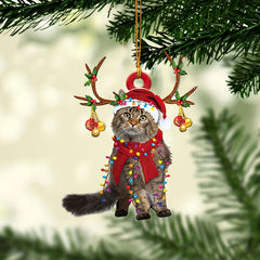 Maine Coon Cat Christmas Hat Reindeer Mirror Accessory