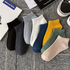 10 Pairs Soft Lightweight Low Cut Ankle Socks Women's Stockings