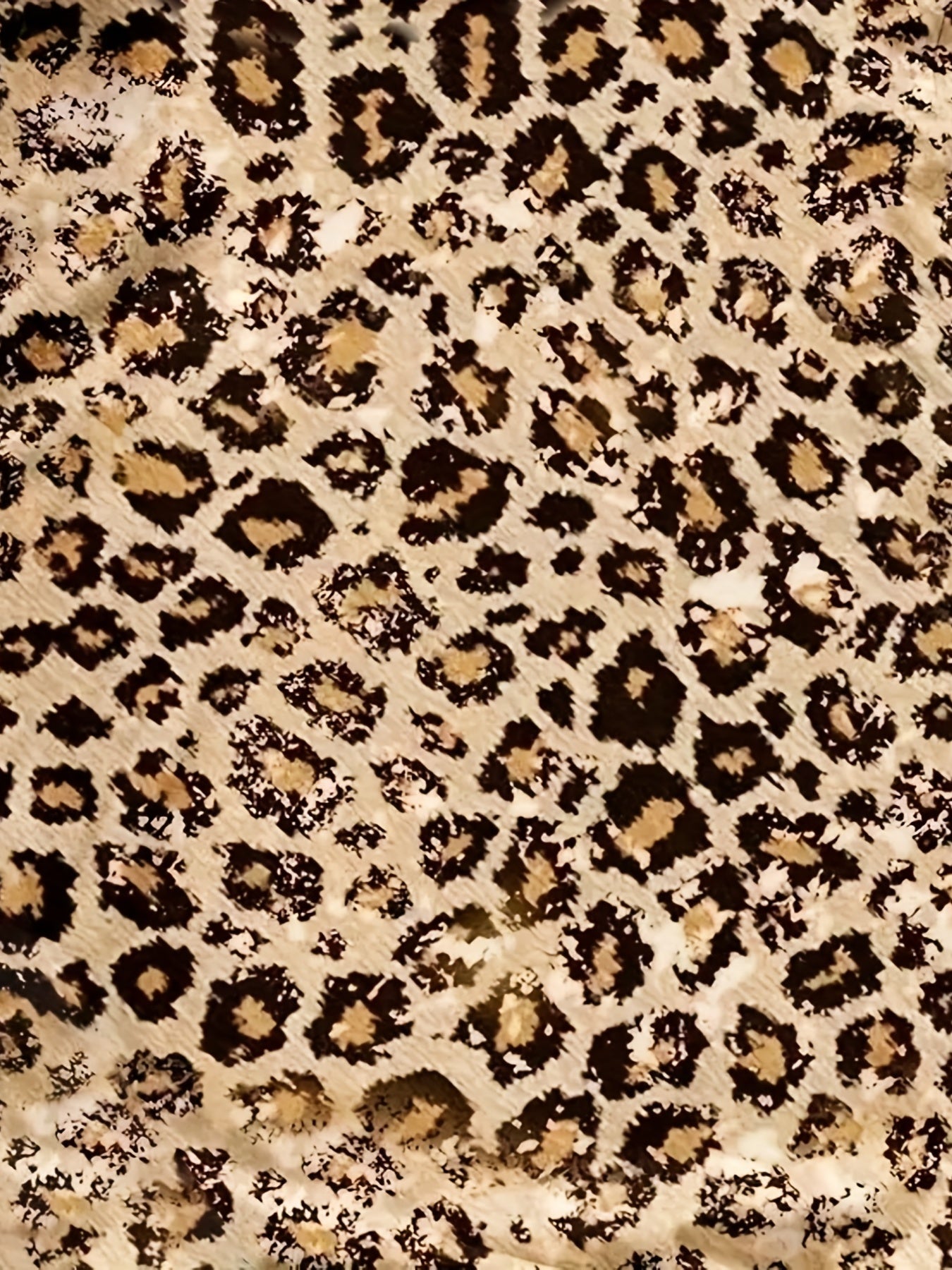 Leopard Print 2pc Set Crew Neck T shirt & Bodycon Shorts