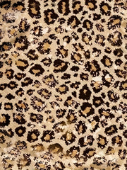Leopard Print 2pc Set Crew Neck T shirt & Bodycon Shorts