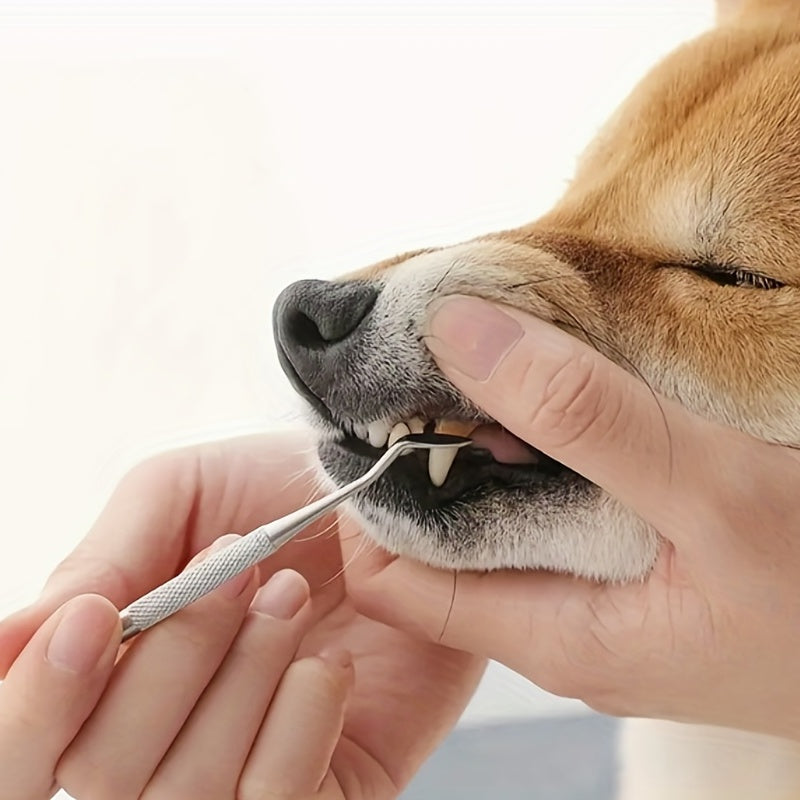 2pc Pets Teeth Cleaning Tools Double Sided Dogs Cats Tartar Remover Dental Stone
