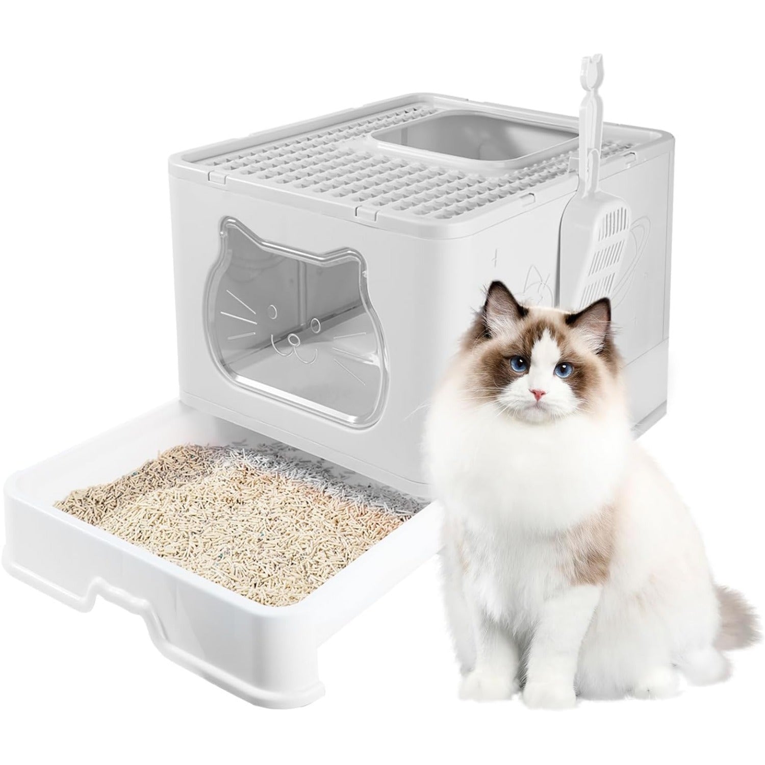 img_7489710
