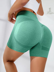 High Waist Running Yoga Sports Shorts Women's Activewear