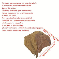 20Pcs Catappa Leaves Almond Tree Aquarium Clean Tool Terminalia Leaf