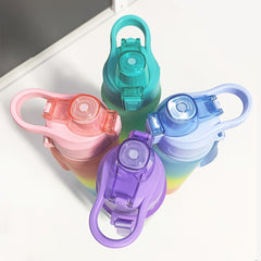 Gradient 1L Water Bottle with Straw