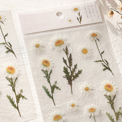 Flower Series PET Stickers for DIY Handbook Decoration Material - 6 Styles