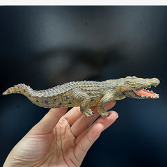 Durable Prehistoric Crocodile Model with Open Mouth & Fangs for Outdoor Use