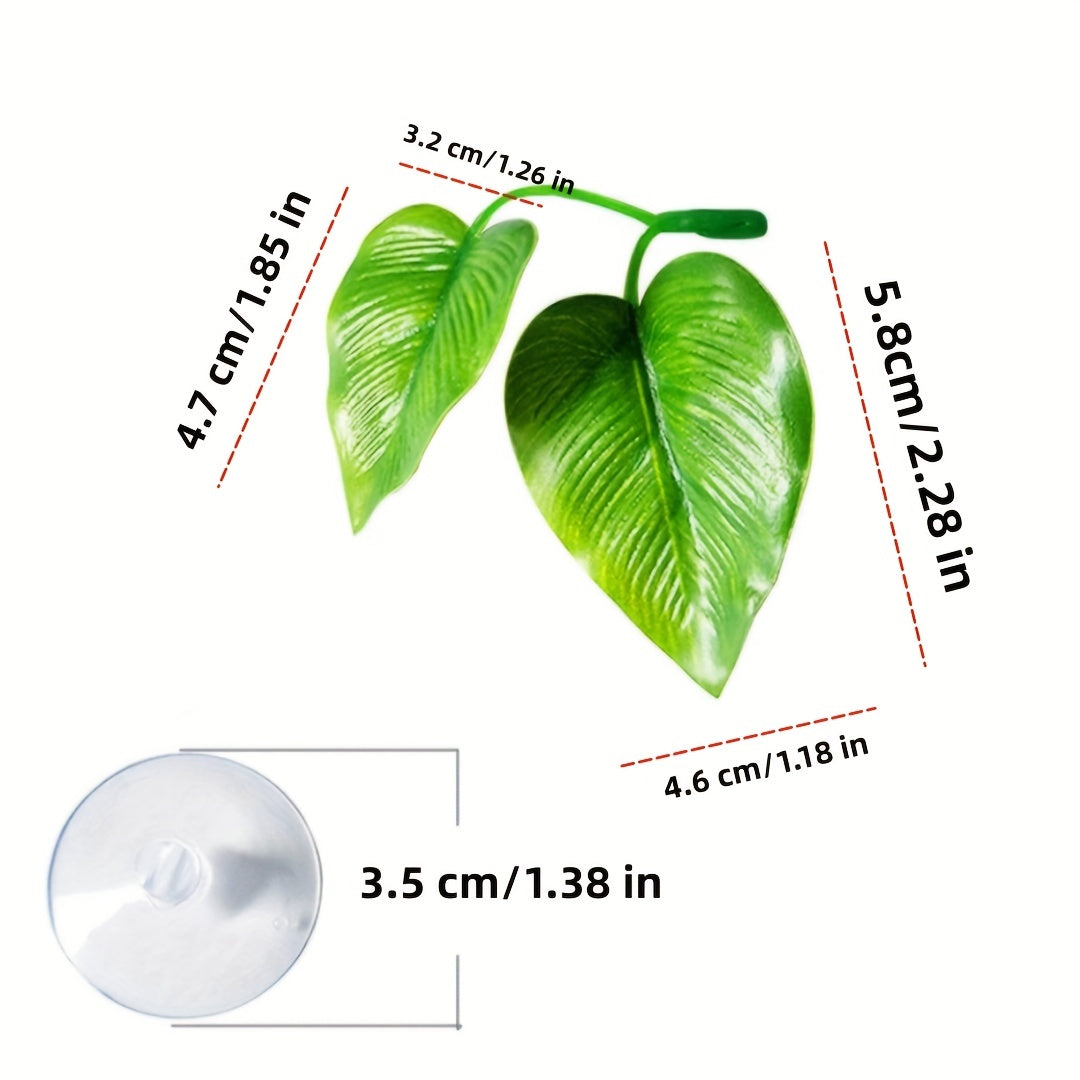 Natural Betta Fish Leaf Pad Aquarium Decor