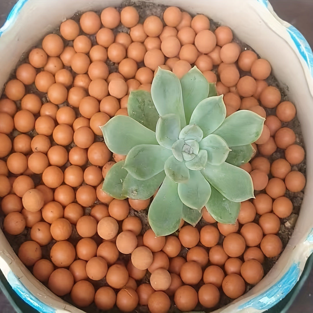 Ceramsite Clay Pebbles 200g Indoor Plant Drainage Solution