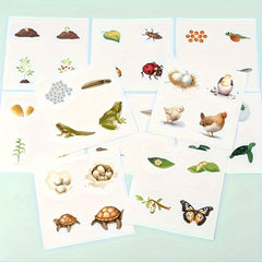 Wooden Life Cycle Board Game Kit for Ages 3 Biology Science Teaching Toy