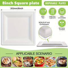 8" Compostable Square Plates, 100 Pack, Biodegradable Sugarcane Plates
