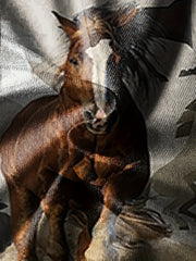 Boys 3D Horse Graphic T Shirt - Summer Outdoor Fun