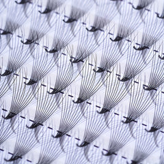120Pcs Self Grafting False Eyelashes Individual Lashes 13mm Extension