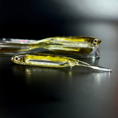 6pcs Soft Swimbaits Straight Tail Bass Fishing Rubber Minnow Lures