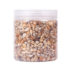 Natural Shell Small Conch Mixed Set Drift Bottle Fish Tank Landscaping