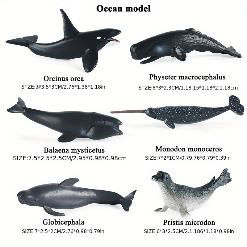 6pcs Marine Life Model Fish Animal Toys Shark Killer Whale Ornaments