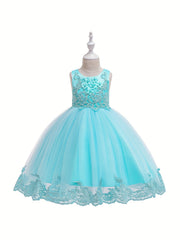 Girls Sleeveless Puffy Princess Dress Flowers Embroidered Tulle Tutu Dress