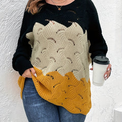 Colorblock Eyelet Embroidered Boat Collar Sweater