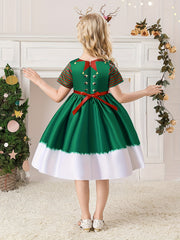 Christmas Princess Dress Short Sleeve A Line Dress Kids Cosplay Costume
