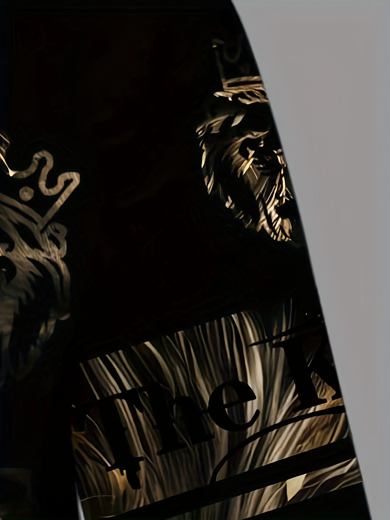 Lion 3D Print Hoodie Men Graphic Hooded Pullover Autumn Winter