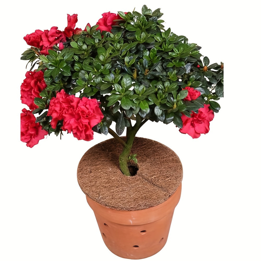 5pcs Coconut Shell Fiber Mulch Mat Anti-grass Flowerpot Mat