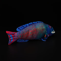 BLUESLEMON 35 Wrasse Plush Toy Fish Stuffed Animal Ocean Series Home Decoration