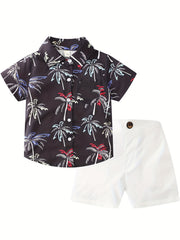 2pcs Boys Flamingo Graphic Print Shirt&Shorts Set