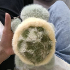 Realistic Cartoon Turtle Plush Toy 6.69 in Green Non Electrified