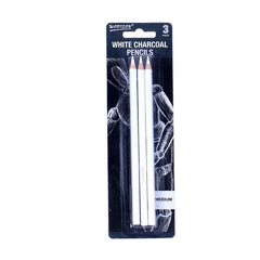 2pcs Sketch Charcoal Pen Drawing Pencil for Painting Sketch Willow Charcoal
