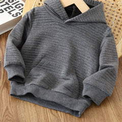 Boys Casual Textured Pullover Hooded Sweatshirt