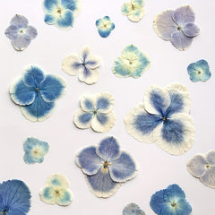 Hydrangea Dried Flower Resin Embossed DIY Kit