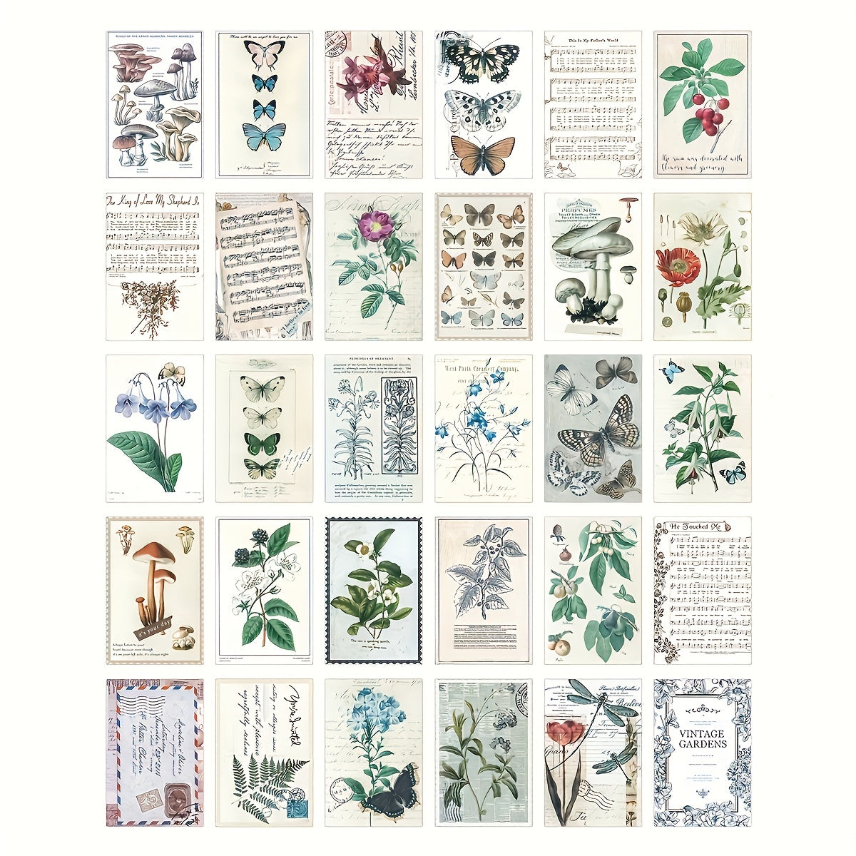 Vintage Collection Postcard Set Retro Style Nature & Ephemera Postcards