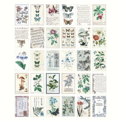 Vintage Collection Postcard Set Retro Style Nature & Ephemera Postcards