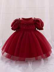 Toddler Princess Dress with Bow for 1st Birthday Party