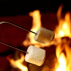 10pcs Roasting Sticks Extendable Stainless Steel Skewer Fork Roasting Smores