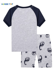 Boys Dinosaur Pajamas Set Short Sleeves Crew Neck Casual Homewear
