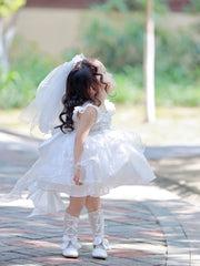 Girls Fancy Gauze Layered Puffy Dress